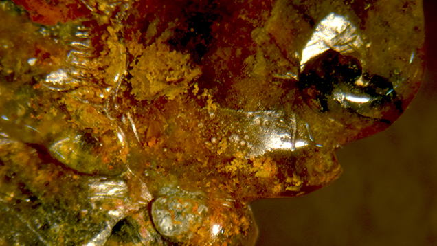 Epoxy resin is seen in a photomicrograph. Epoxy resin is seen in a photomicrograph.