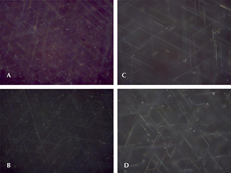 Rutile needles in four synthetic corundum samples with double stars, observed in a view toward the curved dome Rutile needles in four synthetic corundum samples with double stars, observed in a view toward the curved dome