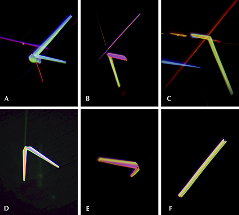 Rutile needles in the purplish pink sapphire from Myanmar, with varying thickness and shapes Rutile needles in the purplish pink sapphire from Myanmar, with varying thickness and shapes