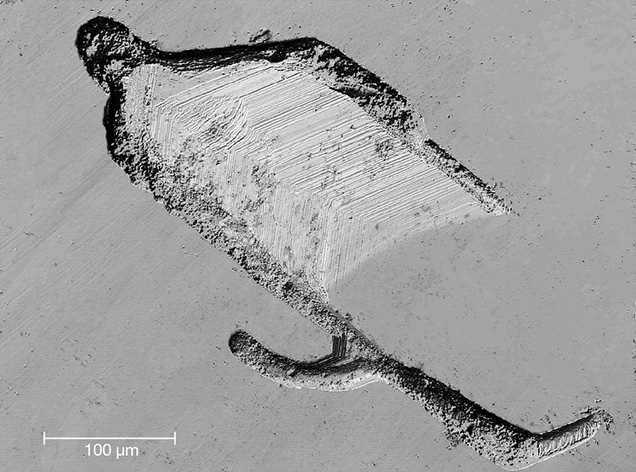 LCM reveals traces of catalyst and step-like growth marks. LCM reveals traces of catalyst and step-like growth marks.