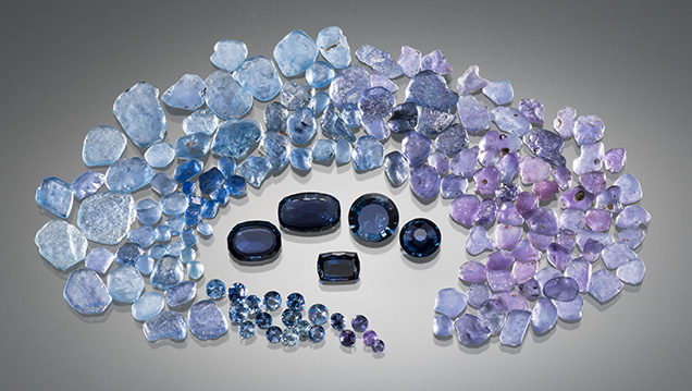 Suite of rough and cut Yogo sapphires showing the wide color range Suite of rough and cut Yogo sapphires showing the wide color range