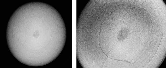 RTX images reveal a void structure.