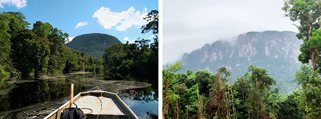 Roraima Mountain (left) and outcrop of Roraima Supergroup rocks (right). Roraima Mountain (left) and outcrop of Roraima Supergroup rocks (right).