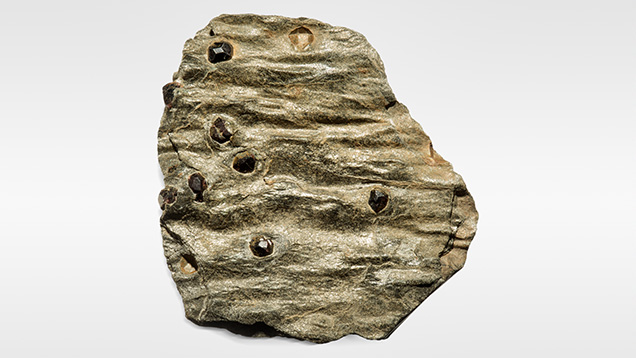 Figure 13. Garnet schist from Alaska, 7.27 × 8.00 in. Photo by Orasa Weldon. Figure 13. Garnet schist from Alaska, 7.27 × 8.00 in. Photo by Orasa Weldon.