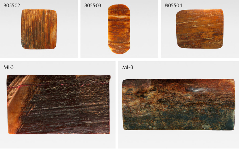 Figure 2. The five mammoth ivory samples in this study weighed 4.16–37.48 g and ranged from 2.8 × 2.5 × 0.6 cm to 6.5 × 3.0 × 1.0 cm. Photos by Zhaoying Huang. Figure 2. The five mammoth ivory samples in this study weighed 4.16–37.48 g and ranged from 2.8 × 2.5 × 0.6 cm to 6.5 × 3.0 × 1.0 cm. Photos by Zhaoying Huang.