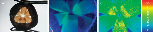Figure 2. A: The 8.14 ct diamond maintained much of its textured rough surface on one side and had a sliced surface to reveal the underlying cloud. Photo by Taryn Linzmeyer. B: The cloud fluoresced green when exposed to long-wave UV, correlating to the peak area intensity of the S3 center; field of view 7.19 mm. C: The false-color heat map showing the peak area intensity of the S3 center was collected using 455 nm laser excitation and included 43,976 spectra.
