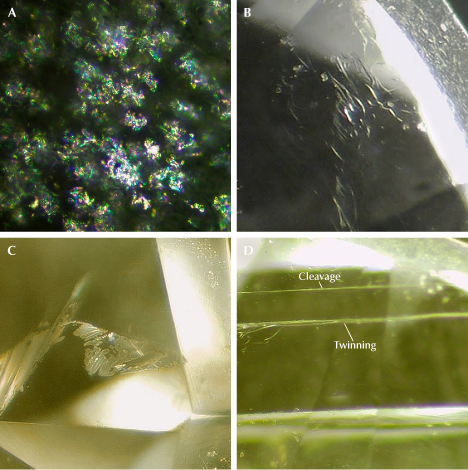 Figure 5. Inclusions in anorthoclase from southeast Vietnam. A: A myriad of incomplete thin, flat fluid inclusions reflecting interference colors (sample AF9). B: Worm-like fluid inclusions (sample AF7). C: Colorless healed fractures along the cleavage (sample AF5). D: Cleavage planes accompanied by albite-law twinning, identified using a polariscope (sample AF4). Photomicrographs by Le Ngoc Nang; fields of view 1.8 mm (A) and 2.5 mm (B–D). Figure 5. Inclusions in anorthoclase from southeast Vietnam. A: A myriad of incomplete thin, flat fluid inclusions reflecting interference colors (sample AF9). B: Worm-like fluid inclusions (sample AF7). C: Colorless healed fractures along the cleavage (sample AF5). D: Cleavage planes accompanied by albite-law twinning, identified using a polariscope (sample AF4). Photomicrographs by Le Ngoc Nang; fields of view 1.8 mm (A) and 2.5 mm (B–D).