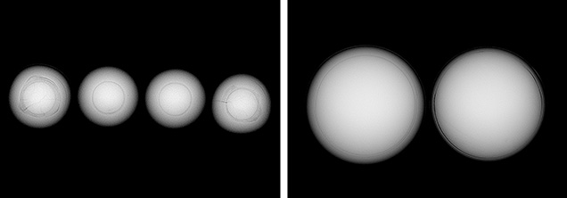 Figure 2. Left: RTX images of the four 6 mm pearls show round bead nuclei and dark gray areas around the beads associated with organic-rich material. Nacre thickness of each pearl from left to right: 1.67, 1.68, 1.62, and 1.64 mm, respectively. Right: The nacre overgrowths are significantly thicker than those of typical akoya pearls, such as the two shown here. Figure 2. Left: RTX images of the four 6 mm pearls show round bead nuclei and dark gray areas around the beads associated with organic-rich material. Nacre thickness of each pearl from left to right: 1.67, 1.68, 1.62, and 1.64 mm, respectively. Right: The nacre overgrowths are significantly thicker than those of typical akoya pearls, such as the two shown here.