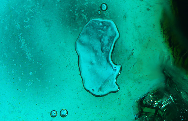 Figure 3. Tabular bubbles in the bluish green cement demarcate the boundary between the quartz segments. Photomicrograph by Hannah Wiggins; field of view 7.19 mm. Figure 3. Tabular bubbles in the bluish green cement demarcate the boundary between the quartz segments. Photomicrograph by Hannah Wiggins; field of view 7.19 mm.