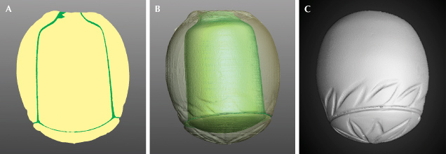 Figure 4. A and B: 3D scanned images indicating the colored cement layer between the carved parts. C: The carving details from the outside. Images by Emiko Yazawa and W. Henry Towbin. Figure 4. A and B: 3D scanned images indicating the colored cement layer between the carved parts. C: The carving details from the outside. Images by Emiko Yazawa and W. Henry Towbin.