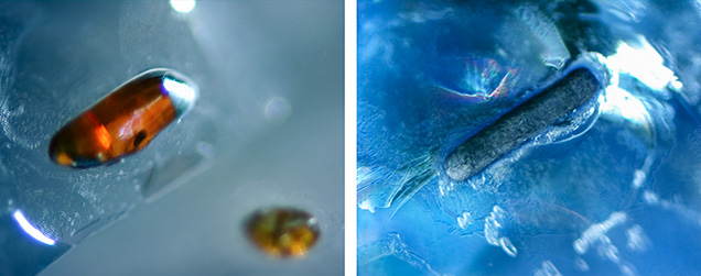 Prismatic and rounded rutile crystals in alluvial Montana sapphire Prismatic and rounded rutile crystals in alluvial Montana sapphire