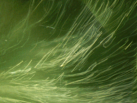 Fibrous horsetail inclusions in a faceted demantoid garnet. Fibrous horsetail inclusions in a faceted demantoid garnet.