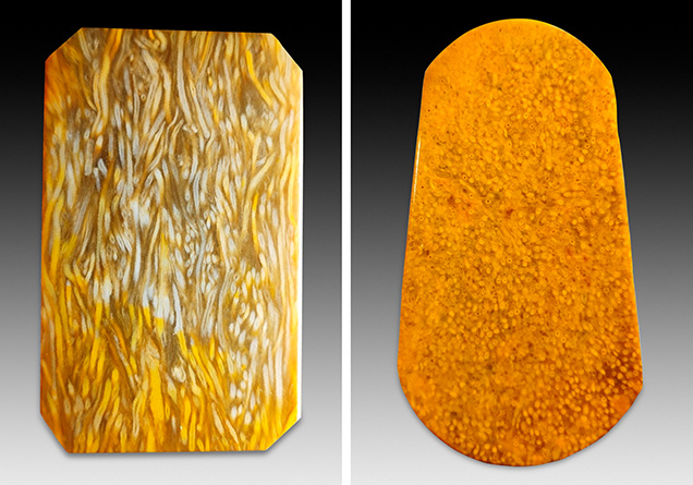 Figure 2. These polished slabs of petrified tree fern with an attractive golden yellow color show two different unusual plant textures that are typical of fine Chinese material. The entangled adventitious roots form a vivid pattern in a longitudinal section (left, 55 × 35 mm). Many adventitious roots have a circular shape in cross section (right, 40 × 25 mm). Photos by Hai-Long Wang. Figure 2. These polished slabs of petrified tree fern with an attractive golden yellow color show two different unusual plant textures that are typical of fine Chinese material. The entangled adventitious roots form a vivid pattern in a longitudinal section (left, 55 × 35 mm). Many adventitious roots have a circular shape in cross section (right, 40 × 25 mm). Photos by Hai-Long Wang.