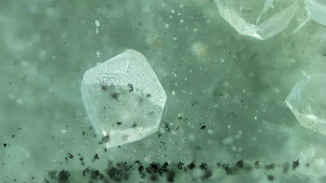 Figure 2. The 3 mm β-quartz inclusion pseudomorphed to α-quartz in the beryl host. Photomicrograph by Harold Moritz; field of view 9.00 mm. Figure 2. The 3 mm β-quartz inclusion pseudomorphed to α-quartz in the beryl host. Photomicrograph by Harold Moritz; field of view 9.00 mm.