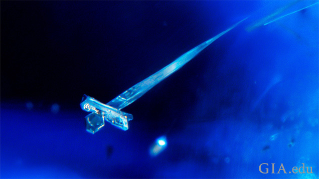 This platinum crystal inclusion in a synthetic sapphire shows a characteristic tapered morphology. This feature is diagnostic of flux growth, as in this Chatham synthetic sapphire. Field of view 1.72 mm.