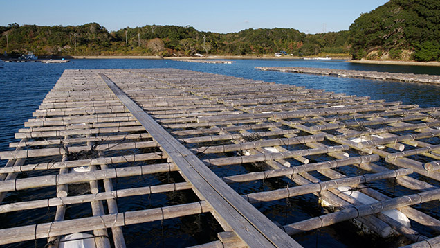 英虞湾にあるミキモト真珠養殖場。写真撮影: Valerie Power/GIA