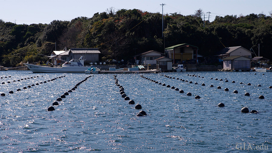 The June birthstone is found in this ocean landscape with boats docked on shore in Ago Bay, Japan an important site for akoya cultured pearl farms.