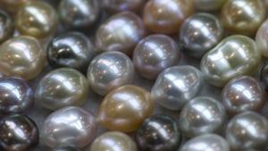 Different Pearl Varieties 