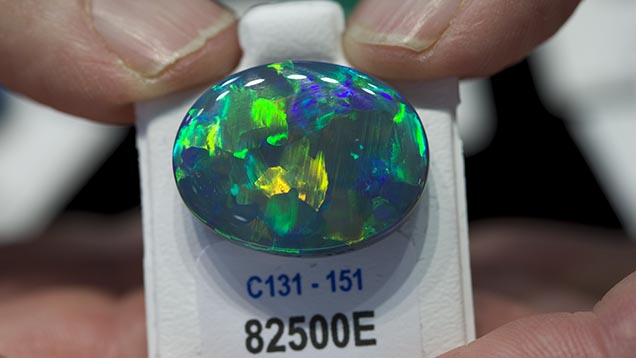 24 Carat Black Opal