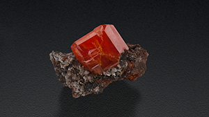 A large red-orange crystal of wulfenite is nestled in the arms of matrix.