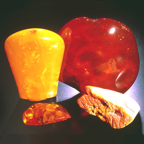 Amber in a Variety of Colors