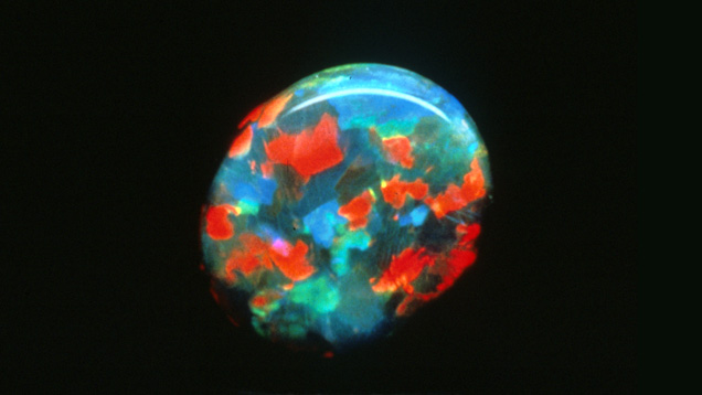 Black Opal with a Harlequin Pattern