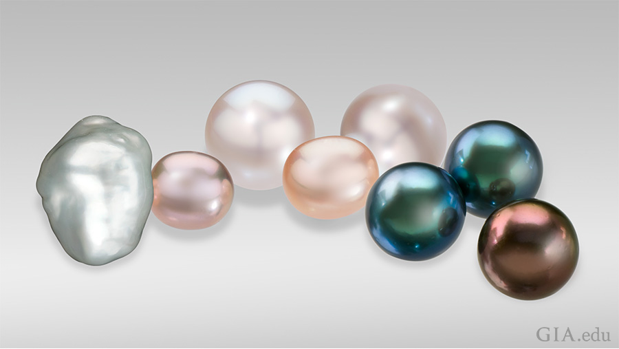 如今，养殖珍珠具有各种各样的形状、颜色和尺寸（这里提到的珍珠尺寸为 9 毫米到 23 毫米）。从左到右：巴洛克（奇形）养殖珍珠；小颗粉红色和桃红色非圆形淡水养殖珍珠；白色圆形澳大利