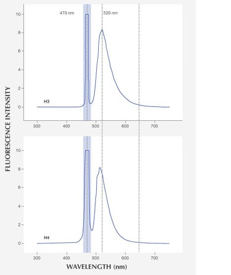 Fluorescence spectra