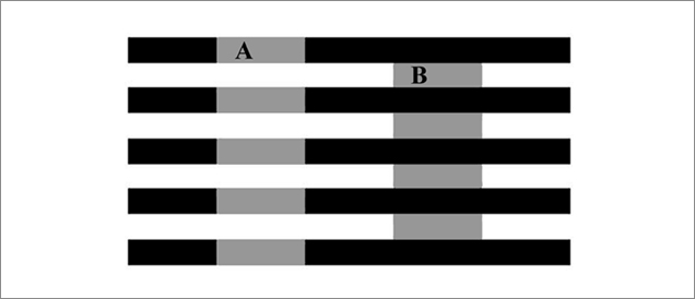 Figure 8. The rectangles on the right appear darker than those on the left, but they are actually the same shade of gray. This demonstrates that the perceived brightness of an area depends on the surroundings and the contrast. From White (1979).