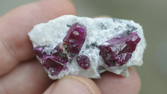 Crystals of ruby in marble matrix. Photo by Vincent Pardieu, © GIA.