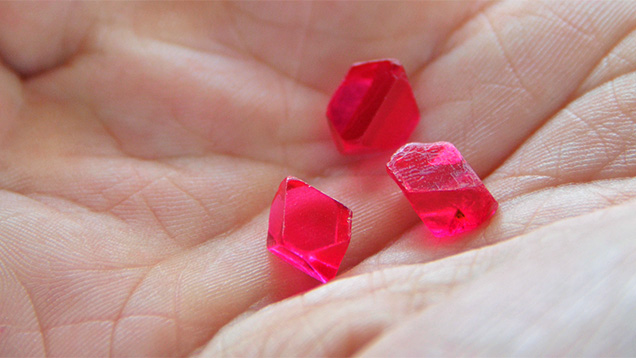 Fraicheur et delices spinels