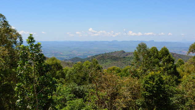 Expedition to the Cruzeiro Tourmaline Mine in Minas Gerais