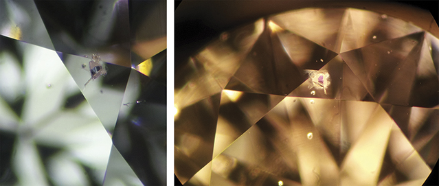 Garnet Crystal Inclusion Photomicrograph