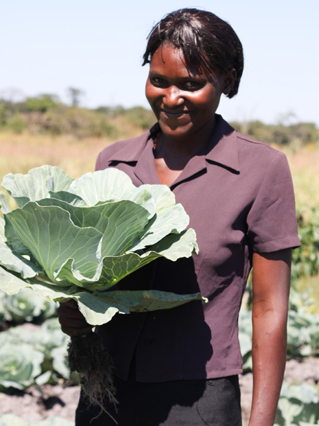 Farming