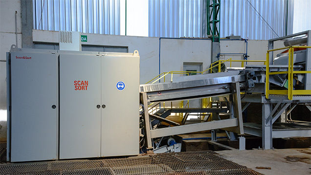 Optical sorter