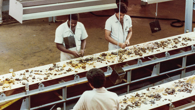 1981 Sorting Process