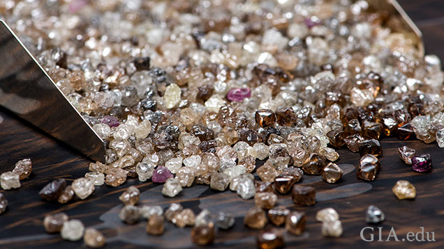 De Beers Institute of Diamonds: Building consumer confidence through  world-leading natural diamonds services