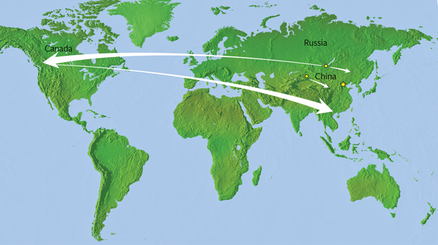 Map of mine-to-market green nephrite route