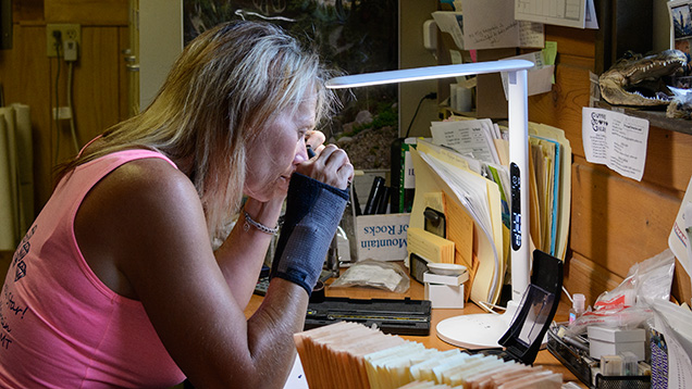 Woman examining gemstones