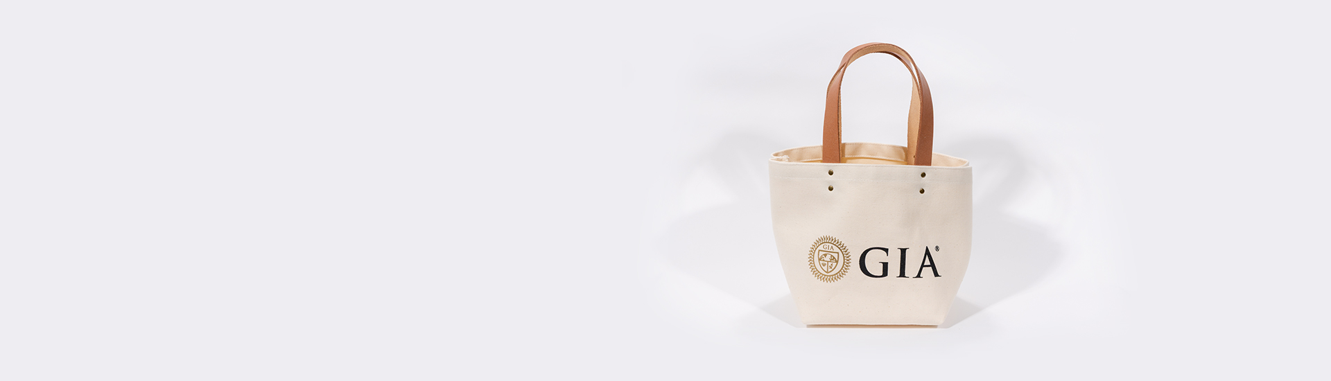 Mini Tote Bag Promo Desktop 