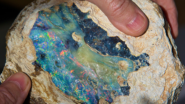 Boulder opal rough