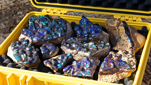 Case of boulder opal