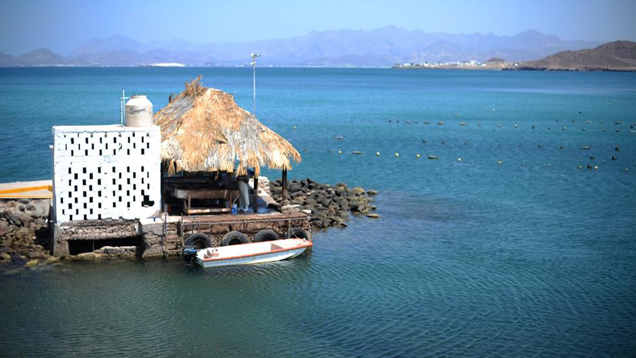 A view of a pearl farm in the Sea of Cortex, including a thatched-roof structure and a small boat docked at its base. 