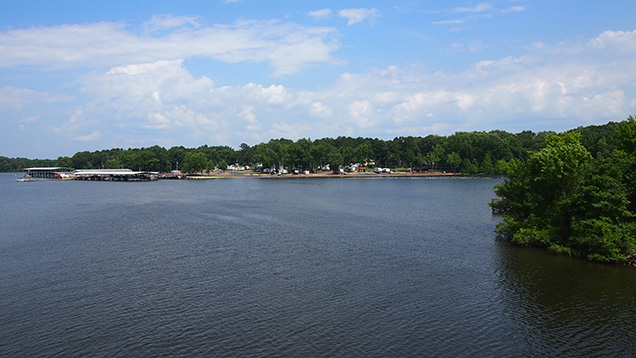 A lake, trees, and blue skies 