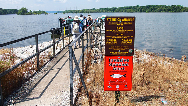 People walking on a dock