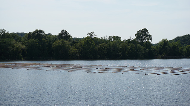 PVC pipes floating on surface of lake