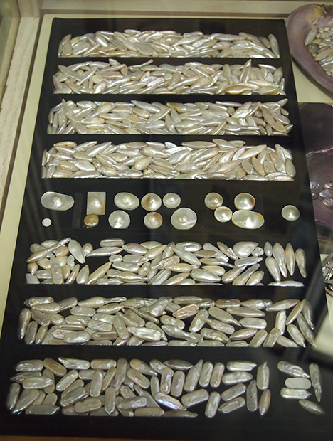 さまざまな形の養殖真珠が並ぶトレイ