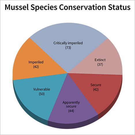 Pie chart of mussel species conservation status