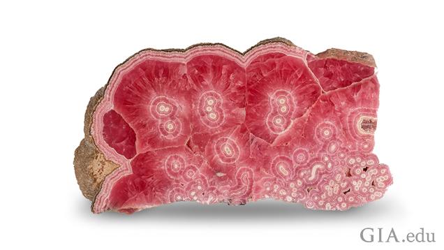 Polished slab with rich red color and white cores from the Capillitas Mine in Catamarca, Argentina. Measures 30 x 11.5 x 2 cm. Gift of the Hauser Family. In Memory of Joel & Barbara Hauser. Photo by Orasa Weldon/GIA