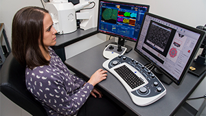 Researcher sitting at a desk operating a computer.